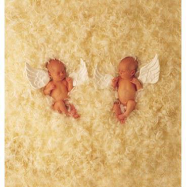 des bébés